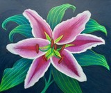 by DULCIE DEE
