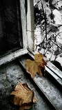 by metin topa