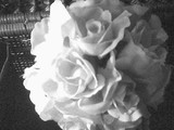 by joanna lipton