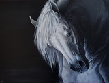 by Nicole Hernandez