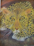 by Ann Gamble