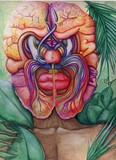 by Katherine Prezio