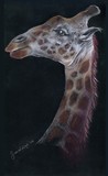by Geraldine Simmons