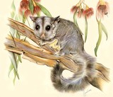 by Geraldine Simmons