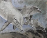 by David Scott