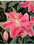 by Robert Tittle