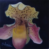 by Fran McLean