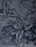 by Stephanie Cohn
