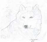 by Spirit  Wolf