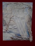 by Debbi Thompson