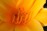 by Barry Ailetcher