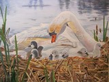 by Karen Park