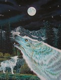 by Kimberlee Edgar