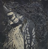 by Jairo Zaldua