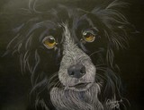 by Amanda Robbemond