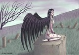by Jennifer Pitcock