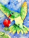 by Pam Sheldon