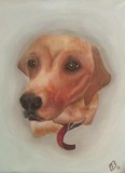 by Vikii Breeds
