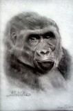by brian horsley
