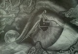 by Julia Kravets