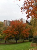 by Marie josé LAURIER