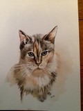 by Max Handley