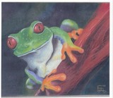 by Emma Werntz