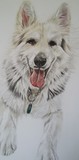 by Debi Ware