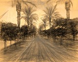 by raanan Ben ari