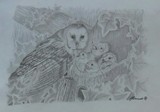 by Amanda Simmonds
