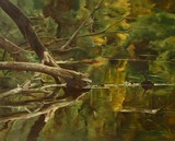 by Cene gál István