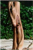 by RQ Trietsch