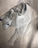by Teresa Kae