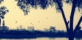 by ammar  alkhatib