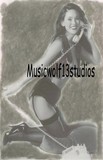 by Chris Van Horn-Musicwolf13studios