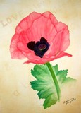 by Laura Horning