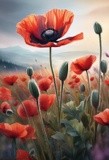 by Mihaela B