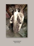 by Brenda Garacci