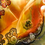 by Anne Vis