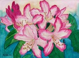 by Nancy Woolweber