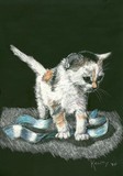 by Anne Kelty