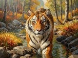 by Mark Peterson