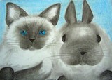 by Vicki Schmand