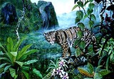 by Safa Takla