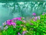 by cervantes wu