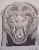 by Stephanie Foshee