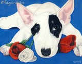 by Vicky Kenworthy