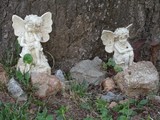 by Cathy Holford