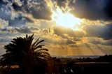 by Dr Moshe Porat