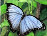 by sandy lippitt